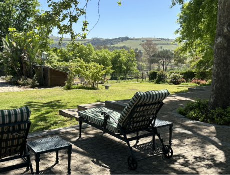 portfolio surroundings